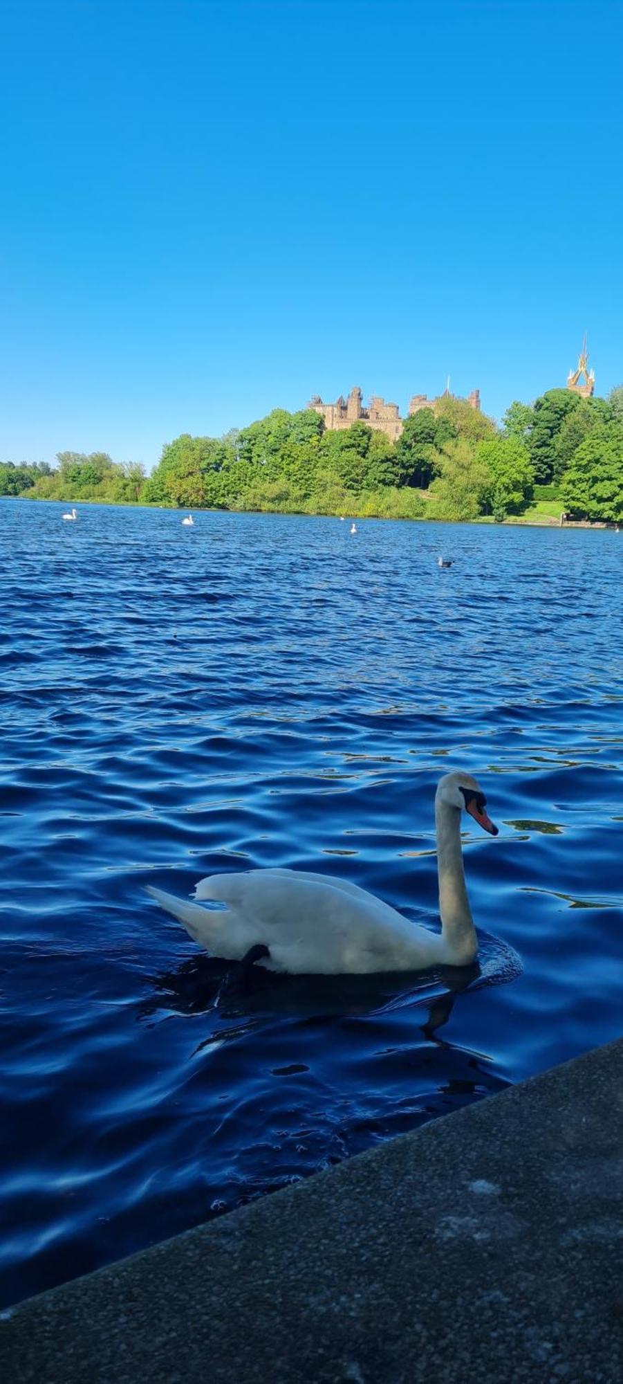 Stylish Home In Linlithgow With Free Parking Luaran gambar